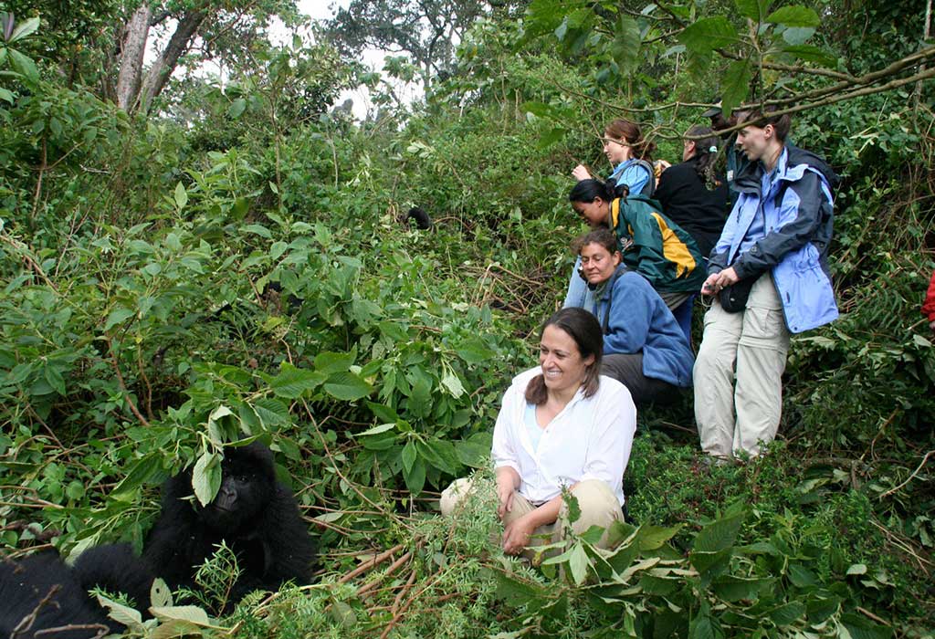 5-Day Uganda Gorilla Safari & Cultural Tour from Kigali