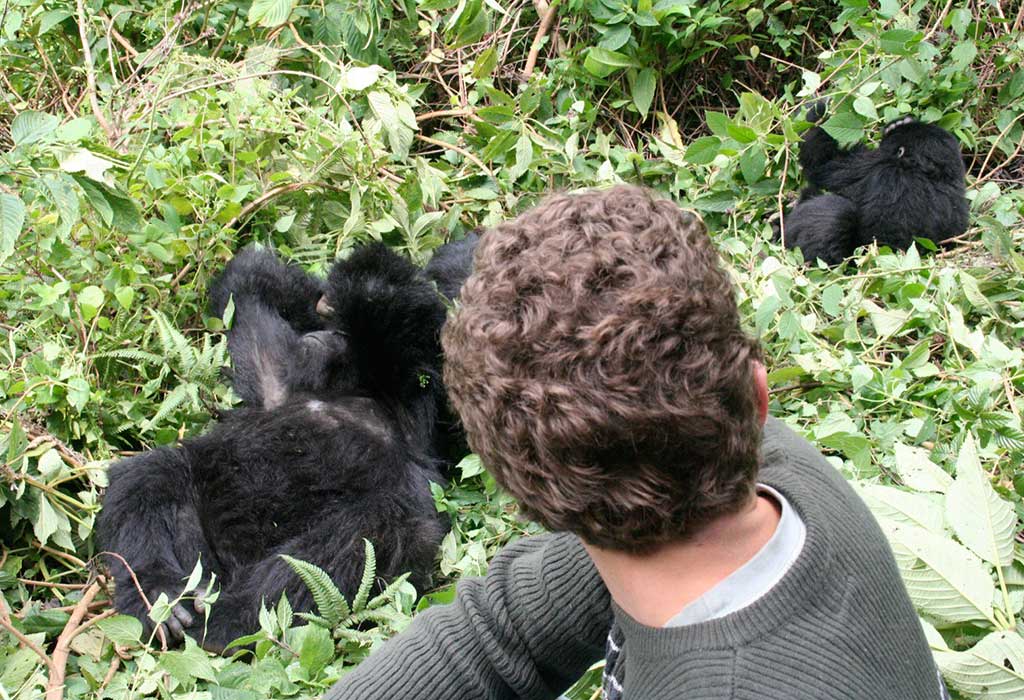7 Days Great Apes in Rwanda and Uganda