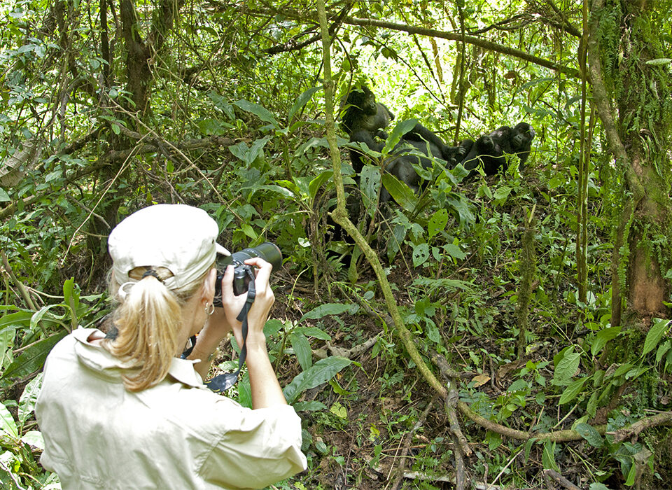 Bwindi-Impenetrable-Forest-National-Park