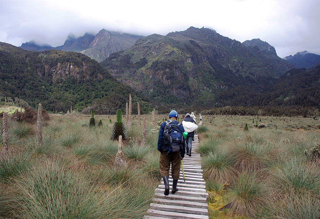 Rwenzori-Mountains-Hiking